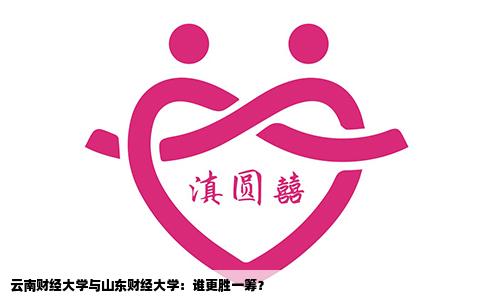 云南财经大学与山东财经大学：谁更胜一筹？