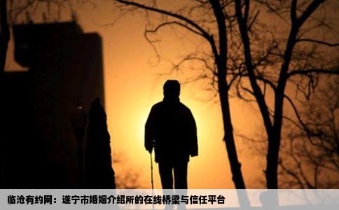 临沧有约网：遂宁市婚姻介绍所的在线桥梁与信任平台