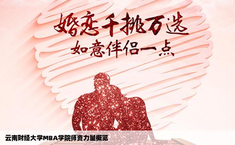 云南财经大学MBA学院师资力量概览
