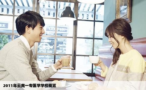2011年云南一专医学学校概览