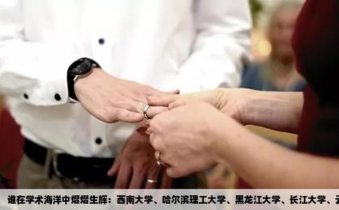 谁在学术海洋中熠熠生辉：西南大学、哈尔滨理工大学、黑龙江大学、长江大学、云南大学的探索与成就