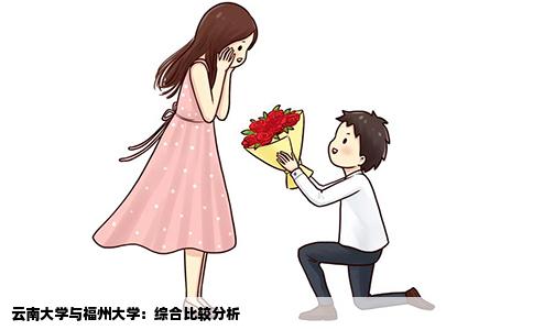 云南大学与福州大学：综合比较分析