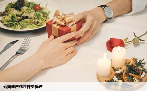 云南盛产花卉种类概述