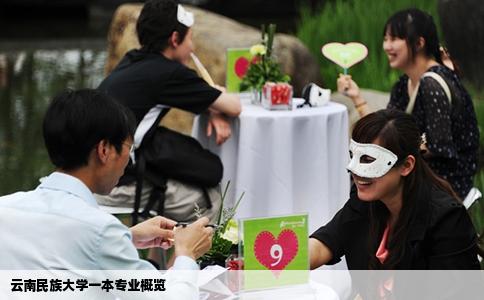 云南民族大学一本专业概览