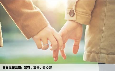 春日探秘云南：赏花、赏景、省心游