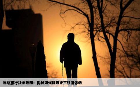 昆明旅行社全攻略：揭秘如何挑选正宗旅游体验