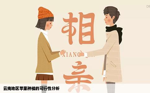 云南地区苹果种植的可行性分析