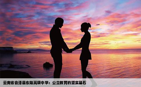 云南省会泽县东陆高级中学：公立教育的坚实基石