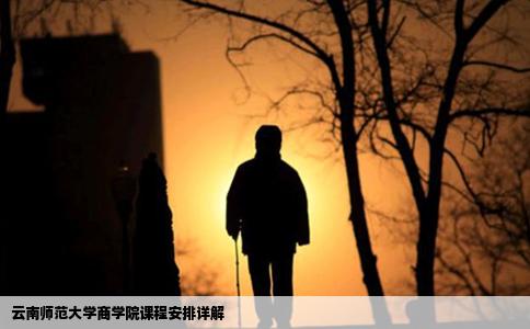 云南师范大学商学院课程安排详解